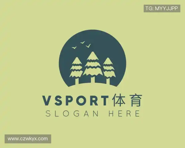 介绍vsport体育